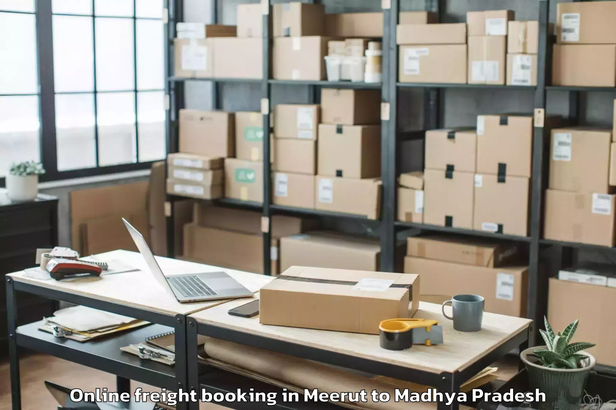 Easy Meerut to Ganj Basoda Online Freight Booking Booking